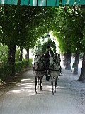 Castle In Vienna 9